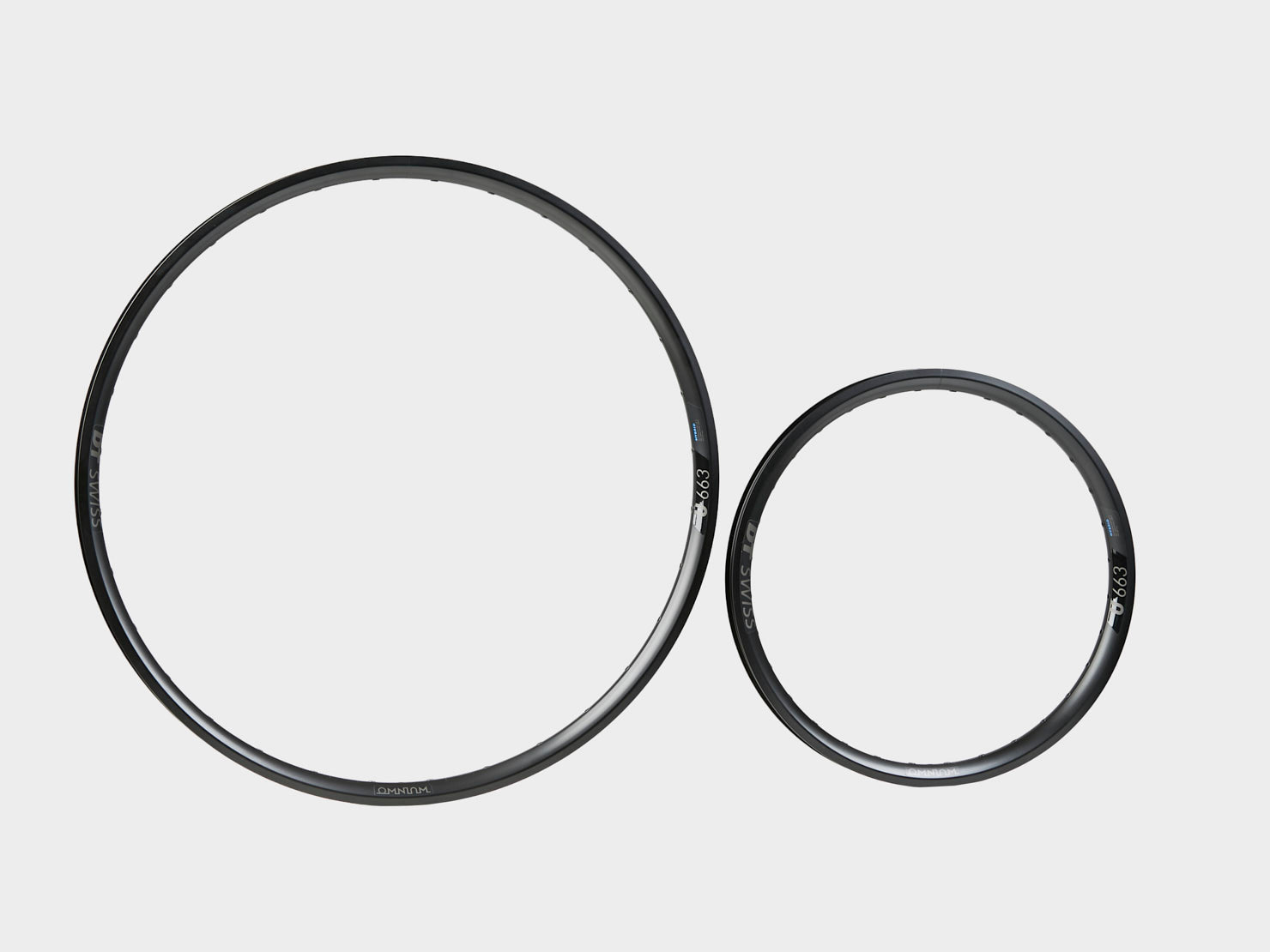 Omnium by DT Swiss Rim