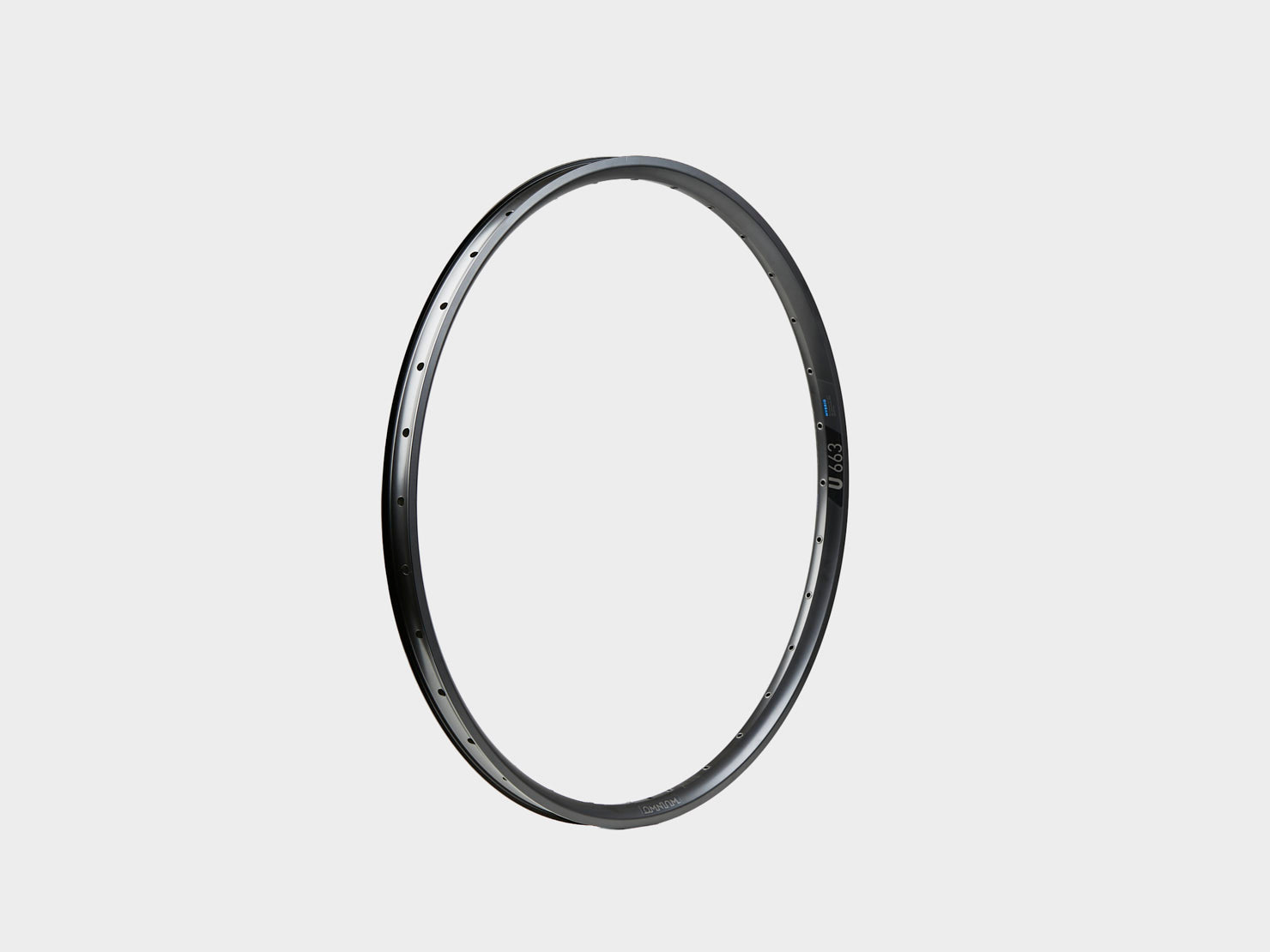 Omnium by DT Swiss Rim