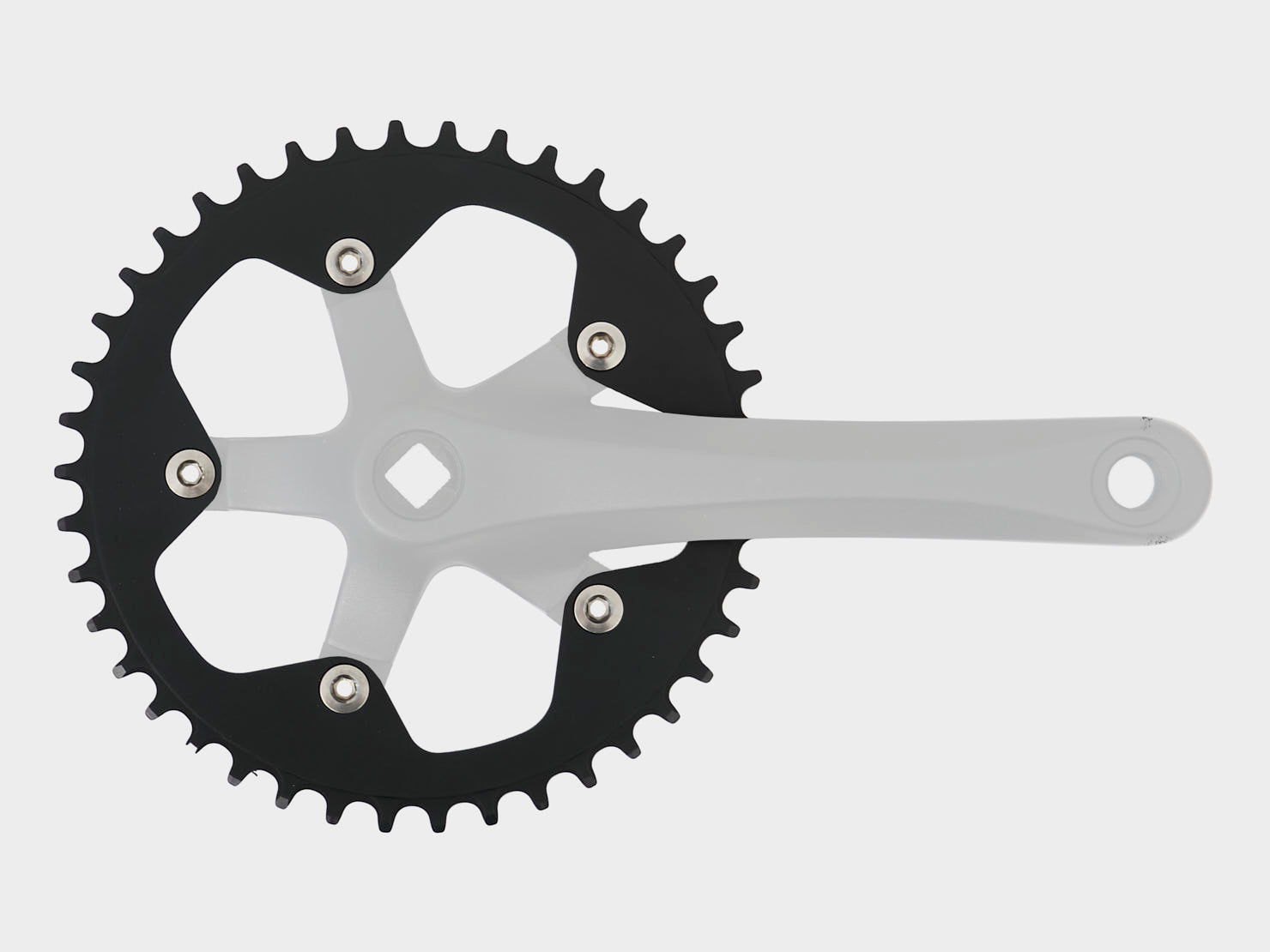 Omnium Narrow Wide Chainring